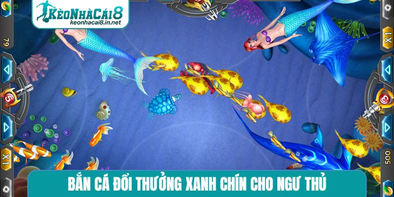 Bắn cá đổi thưởng xanh chín cho ngư thủ