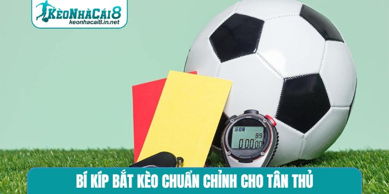 Bí kíp bắt kèo chuẩn chỉnh cho tân thủ