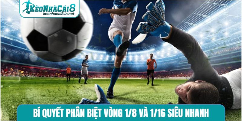 Bí quyết phân biệt vòng 1/8 và 1/16 siêu nhanh
