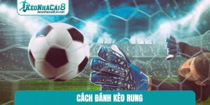 cách đánh kèo rung