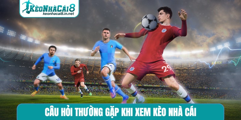 Câu hỏi thường gặp khi xem kèo nhà cái