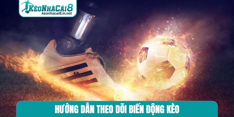 Hướng dẫn theo dõi biến động kèo
